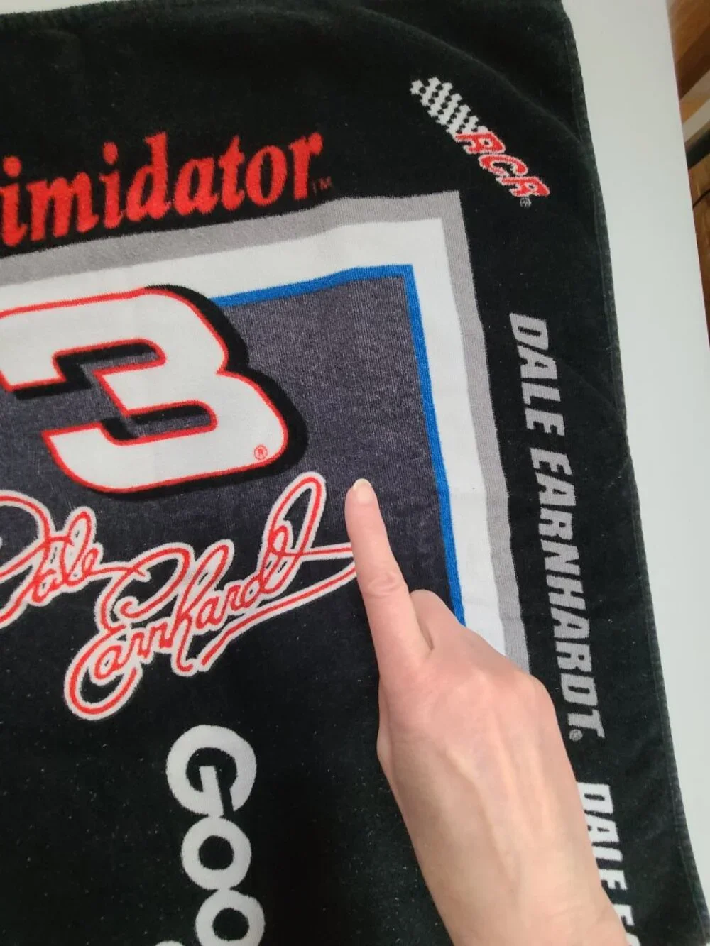 Nascar dale earnhardt